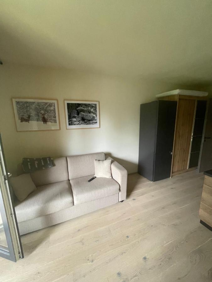 Apartamento Apartmán pod Jasanem Hojsova Stráž Brčálník Železná Ruda Exterior foto