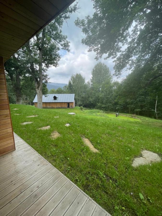 Apartamento Apartmán pod Jasanem Hojsova Stráž Brčálník Železná Ruda Exterior foto
