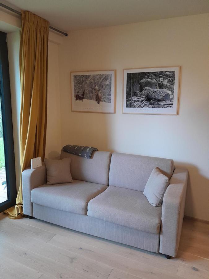 Apartamento Apartmán pod Jasanem Hojsova Stráž Brčálník Železná Ruda Exterior foto