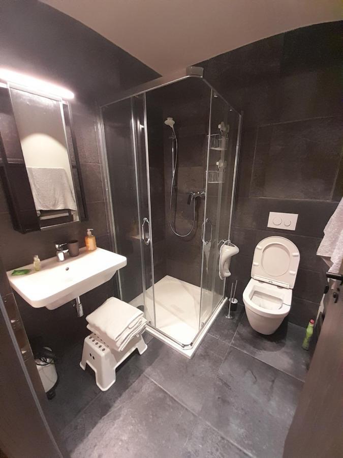 Apartamento Apartmán pod Jasanem Hojsova Stráž Brčálník Železná Ruda Exterior foto