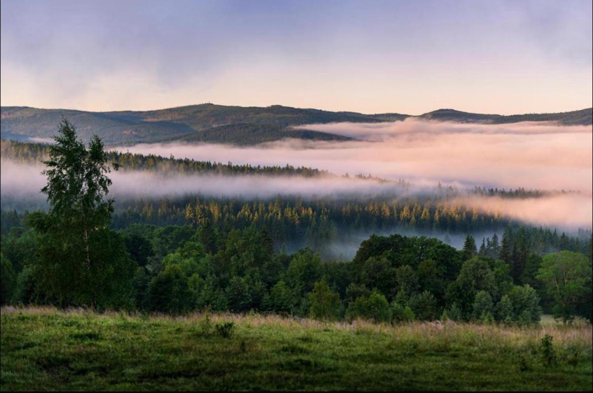 Apartamento Apartmán pod Jasanem Hojsova Stráž Brčálník Železná Ruda Exterior foto