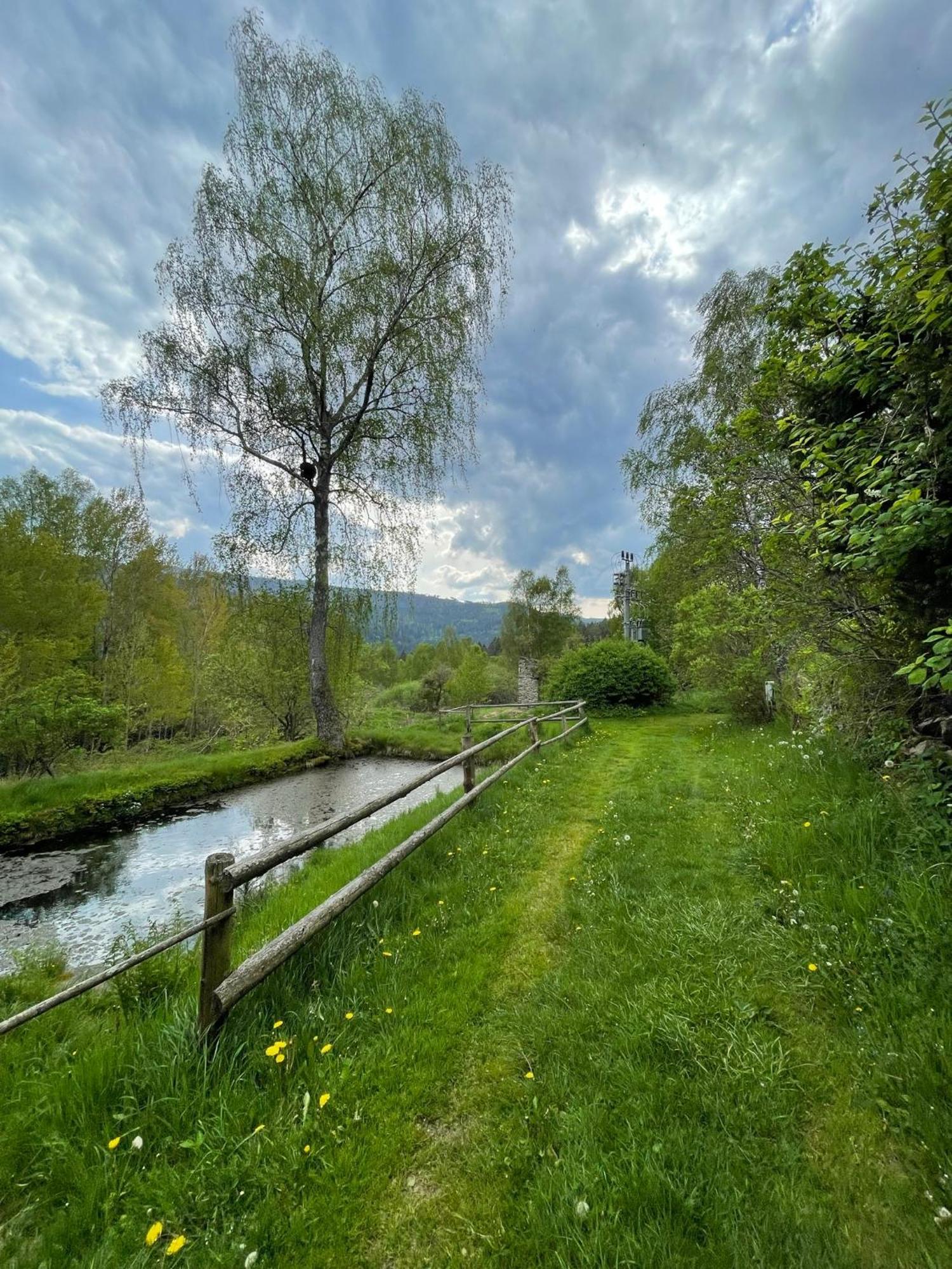 Apartamento Apartmán pod Jasanem Hojsova Stráž Brčálník Železná Ruda Exterior foto